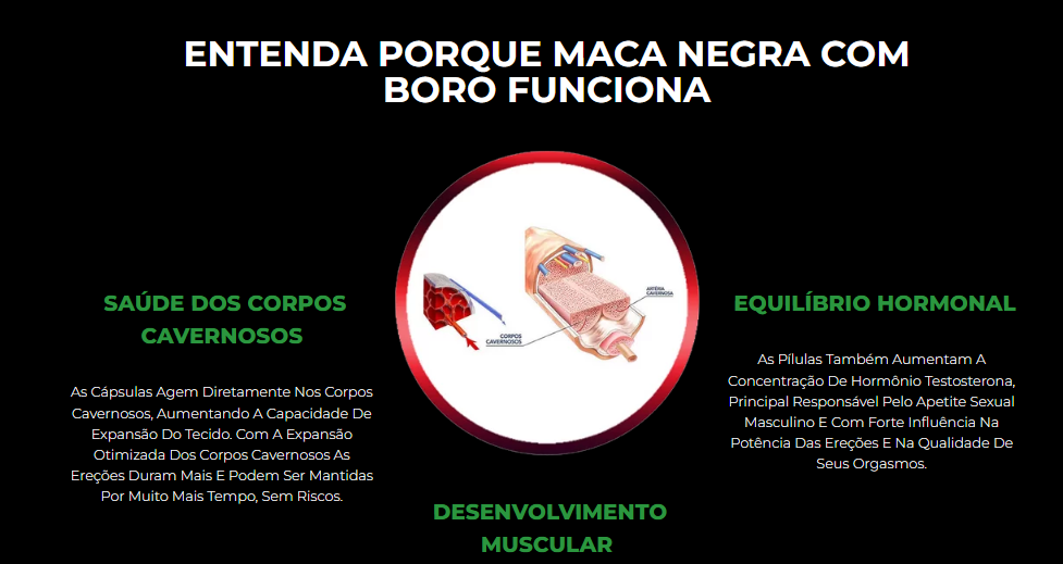 Aumento e Prolongamento da Ereção Maça Negra com Boro